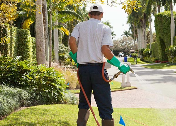About Glen Cove NY Pest Control